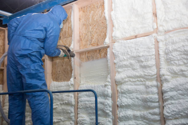 Best Eco-Friendly Insulation Solutions  in USA